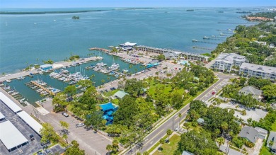 Welcome to this beautifully updated single-family pool home in on The Dunedin Country Club in Florida - for sale on GolfHomes.com, golf home, golf lot