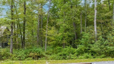 Welcome to 32 Footbridge Drive, an extraordinary mountain on High Hampton Inn and Country Club in North Carolina - for sale on GolfHomes.com, golf home, golf lot