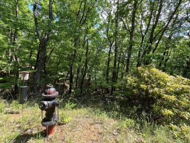 Build Your Mountain Retreat in Bent Tree. Don't miss this on Bent Tree Golf Course in Georgia - for sale on GolfHomes.com, golf home, golf lot
