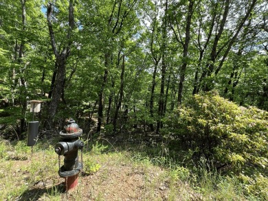 Build Your Mountain Retreat in Bent Tree. Don't miss this on Bent Tree Golf Course in Georgia - for sale on GolfHomes.com, golf home, golf lot