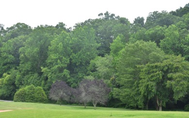 Overlooking the 7th green and fairway from this elevated long on Mountain Harbour Golf Club in North Carolina - for sale on GolfHomes.com, golf home, golf lot