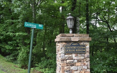 Overlooking the 7th green and fairway from this elevated long on Mountain Harbour Golf Club in North Carolina - for sale on GolfHomes.com, golf home, golf lot