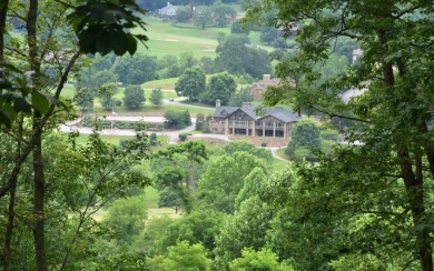 Overlooking the 7th green and fairway from this elevated long on Mountain Harbour Golf Club in North Carolina - for sale on GolfHomes.com, golf home, golf lot