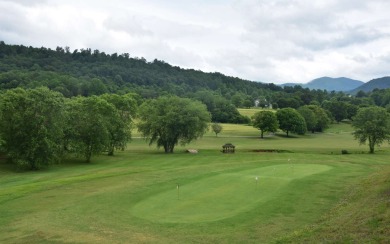 Overlooking the 7th green and fairway from this elevated long on Mountain Harbour Golf Club in North Carolina - for sale on GolfHomes.com, golf home, golf lot