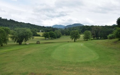 Overlooking the 7th green and fairway from this elevated long on Mountain Harbour Golf Club in North Carolina - for sale on GolfHomes.com, golf home, golf lot