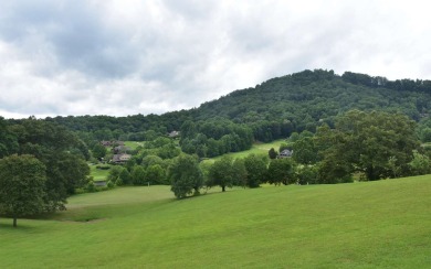 Overlooking the 7th green and fairway from this elevated long on Mountain Harbour Golf Club in North Carolina - for sale on GolfHomes.com, golf home, golf lot