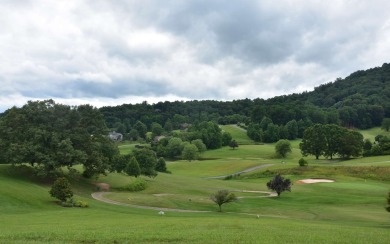 Overlooking the 7th green and fairway from this elevated long on Mountain Harbour Golf Club in North Carolina - for sale on GolfHomes.com, golf home, golf lot
