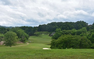 Overlooking the 7th green and fairway from this elevated long on Mountain Harbour Golf Club in North Carolina - for sale on GolfHomes.com, golf home, golf lot