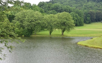 Overlooking the 7th green and fairway from this elevated long on Mountain Harbour Golf Club in North Carolina - for sale on GolfHomes.com, golf home, golf lot