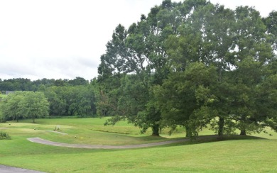 Overlooking the 7th green and fairway from this elevated long on Mountain Harbour Golf Club in North Carolina - for sale on GolfHomes.com, golf home, golf lot
