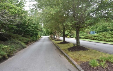 Overlooking the 7th green and fairway from this elevated long on Mountain Harbour Golf Club in North Carolina - for sale on GolfHomes.com, golf home, golf lot