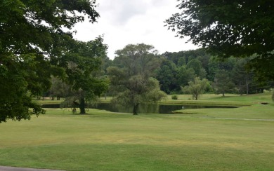 Overlooking the 7th green and fairway from this elevated long on Mountain Harbour Golf Club in North Carolina - for sale on GolfHomes.com, golf home, golf lot