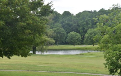 Overlooking the 7th green and fairway from this elevated long on Mountain Harbour Golf Club in North Carolina - for sale on GolfHomes.com, golf home, golf lot