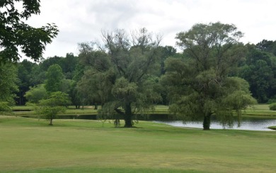 Overlooking the 7th green and fairway from this elevated long on Mountain Harbour Golf Club in North Carolina - for sale on GolfHomes.com, golf home, golf lot