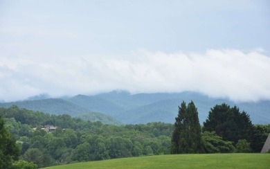 Overlooking the 7th green and fairway from this elevated long on Mountain Harbour Golf Club in North Carolina - for sale on GolfHomes.com, golf home, golf lot