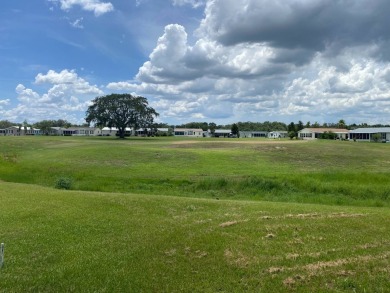 I don't where to start, but here we go!  This Palm Harbor, FULL on Southport Springs Golf Club in Florida - for sale on GolfHomes.com, golf home, golf lot