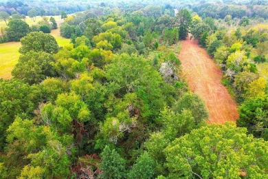 Welcome to the future of premier residential living in Bullard on Oak Hurst Golf Course in Texas - for sale on GolfHomes.com, golf home, golf lot