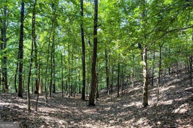 Amazing lot on Ponderosa has spectacular views for miles, build on The Highlands Course at Lake Arrowhead in Georgia - for sale on GolfHomes.com, golf home, golf lot