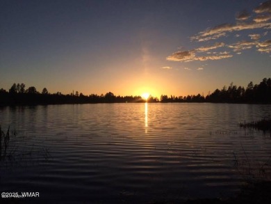 Don't miss this rare opportunity to own this lake view home! on Silver Creek Golf Club in Arizona - for sale on GolfHomes.com, golf home, golf lot