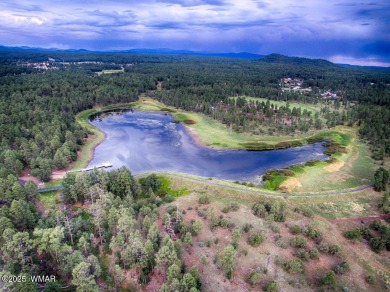 Don't miss this rare opportunity to own this lake view home! on Silver Creek Golf Club in Arizona - for sale on GolfHomes.com, golf home, golf lot