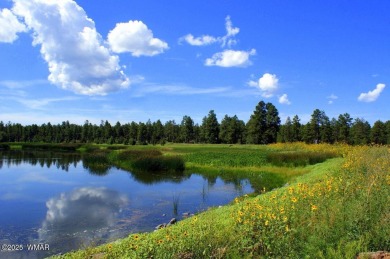 Don't miss this rare opportunity to own this lake view home! on Silver Creek Golf Club in Arizona - for sale on GolfHomes.com, golf home, golf lot