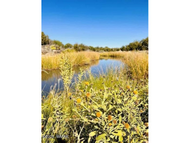 Don't miss this rare opportunity to own this lake view home! on Silver Creek Golf Club in Arizona - for sale on GolfHomes.com, golf home, golf lot