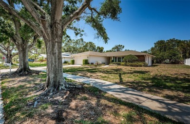 Honey, stop the car! This 2-bedroom, 2-bathroom home sits on a on Countryside Country Club in Florida - for sale on GolfHomes.com, golf home, golf lot