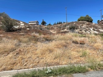 Two residential lots being sold together for a total of 14974 sq on Lake Elizabeth Golf & Ranch Club in California - for sale on GolfHomes.com, golf home, golf lot