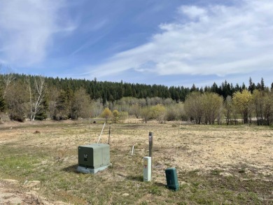 Stunning Townhouse lot in Picturesque McCall. Escape to the on McCall Municipal Golf Course in Idaho - for sale on GolfHomes.com, golf home, golf lot