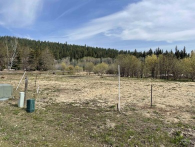 Stunning Townhouse lot in Picturesque McCall. Escape to the on McCall Municipal Golf Course in Idaho - for sale on GolfHomes.com, golf home, golf lot