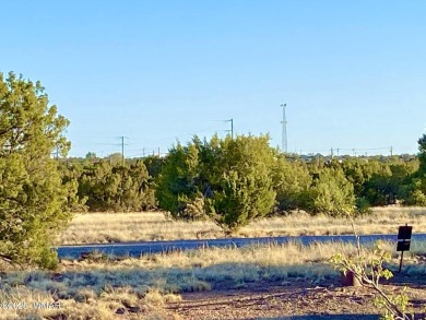 Beautiful 1+ acre property with installed septic and private on Silver Creek Golf Club in Arizona - for sale on GolfHomes.com, golf home, golf lot
