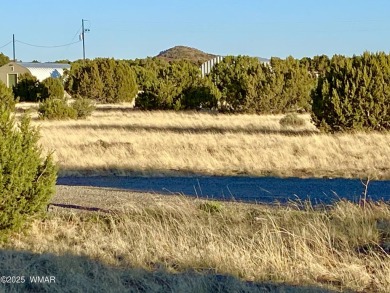 Beautiful 1+ acre property with installed septic and private on Silver Creek Golf Club in Arizona - for sale on GolfHomes.com, golf home, golf lot