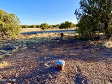 Beautiful 1+ acre property with installed septic and private on Silver Creek Golf Club in Arizona - for sale on GolfHomes.com, golf home, golf lot