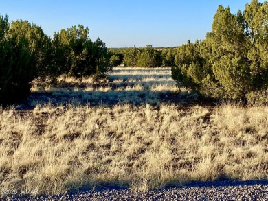 Beautiful 1+ acre property with installed septic and private on Silver Creek Golf Club in Arizona - for sale on GolfHomes.com, golf home, golf lot