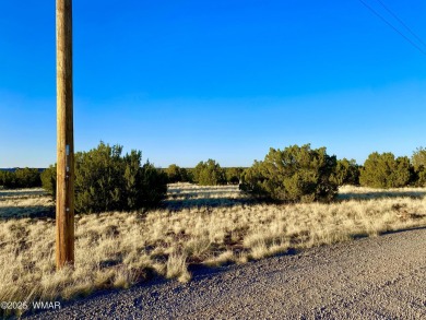 Beautiful 1+ acre property with installed septic and private on Silver Creek Golf Club in Arizona - for sale on GolfHomes.com, golf home, golf lot