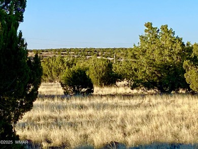 Beautiful 1+ acre property with installed septic and private on Silver Creek Golf Club in Arizona - for sale on GolfHomes.com, golf home, golf lot