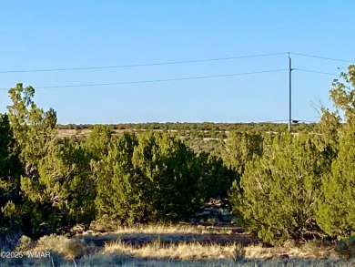 Beautiful 1+ acre property with installed septic and private on Silver Creek Golf Club in Arizona - for sale on GolfHomes.com, golf home, golf lot