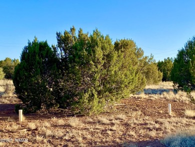 Beautiful 1+ acre property with installed septic and private on Silver Creek Golf Club in Arizona - for sale on GolfHomes.com, golf home, golf lot