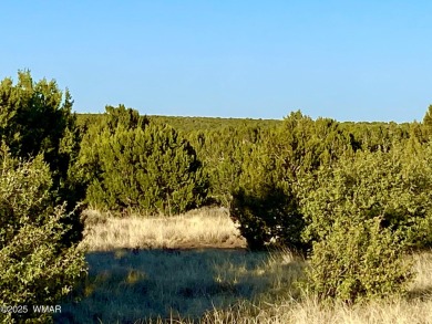 Beautiful 1+ acre property with installed septic and private on Silver Creek Golf Club in Arizona - for sale on GolfHomes.com, golf home, golf lot