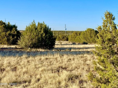 Beautiful 1+ acre property with installed septic and private on Silver Creek Golf Club in Arizona - for sale on GolfHomes.com, golf home, golf lot