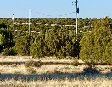 Beautiful 1+ acre property with installed septic and private on Silver Creek Golf Club in Arizona - for sale on GolfHomes.com, golf home, golf lot