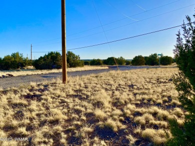 Beautiful 1+ acre property with installed septic and private on Silver Creek Golf Club in Arizona - for sale on GolfHomes.com, golf home, golf lot