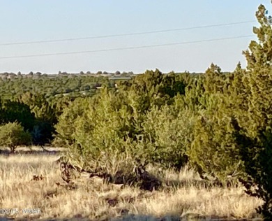 Beautiful 1+ acre property with installed septic and private on Silver Creek Golf Club in Arizona - for sale on GolfHomes.com, golf home, golf lot