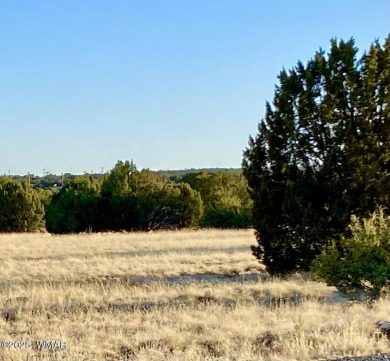 Beautiful 1+ acre property with installed septic and private on Silver Creek Golf Club in Arizona - for sale on GolfHomes.com, golf home, golf lot