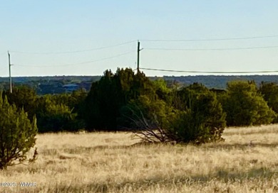 Beautiful 1+ acre property with installed septic and private on Silver Creek Golf Club in Arizona - for sale on GolfHomes.com, golf home, golf lot