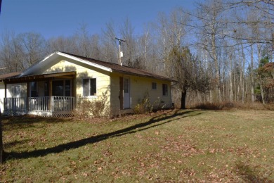 Great Opportunity in Hale!! This 2-bedroom 1 full bath 768sqft on Wicker Hills Country Club in Michigan - for sale on GolfHomes.com, golf home, golf lot