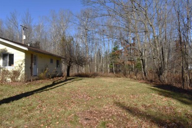 Great Opportunity in Hale!! This 2-bedroom 1 full bath 768sqft on Wicker Hills Country Club in Michigan - for sale on GolfHomes.com, golf home, golf lot