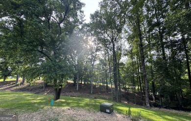 Prime Double Golf Course Lot in Royal Lakes! Tired of small on Royal Lakes Golf and Country Club in Georgia - for sale on GolfHomes.com, golf home, golf lot