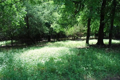 Bargain, 2 golf course lots for the price of one. They located on White Bluff Resort - Old Course in Texas - for sale on GolfHomes.com, golf home, golf lot