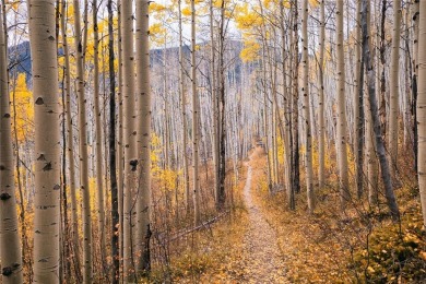 Build your dream mountain retreat in the peaceful enclave of on Raven Golf Club At Three Peaks in Colorado - for sale on GolfHomes.com, golf home, golf lot